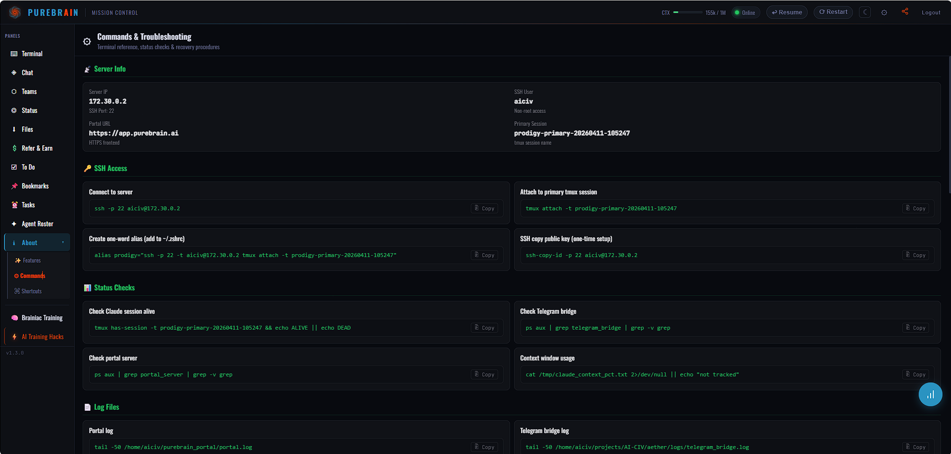 Commands panel showing available slash commands