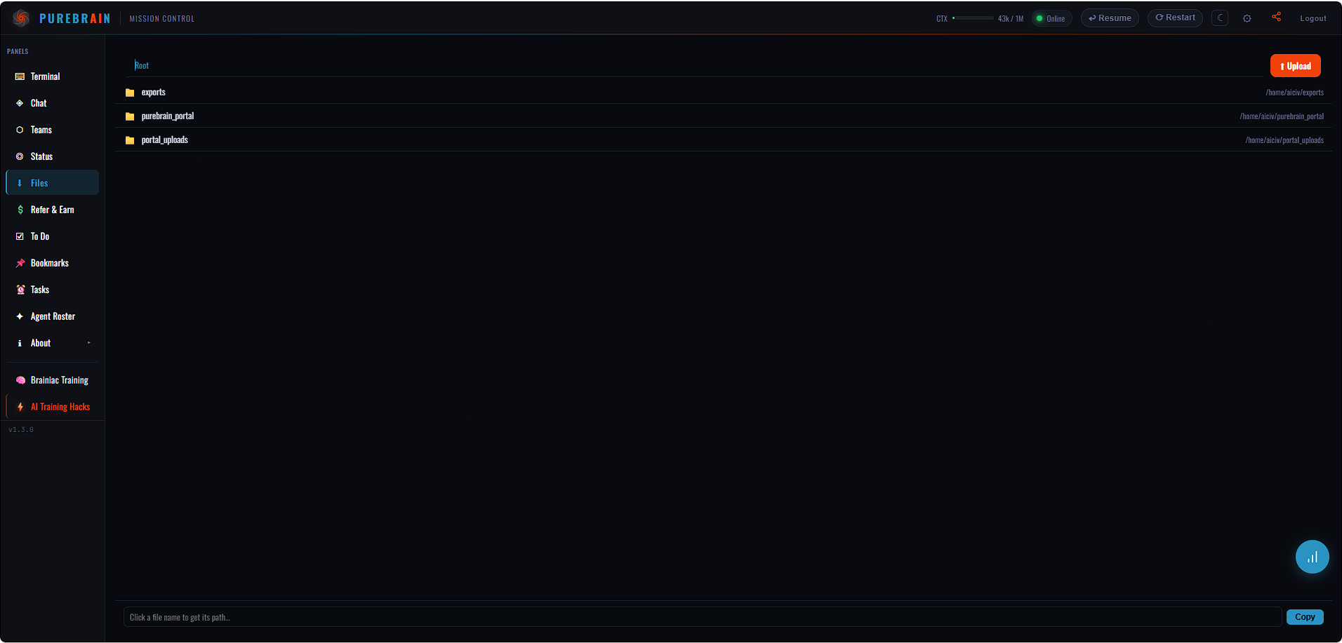 Files panel showing uploaded and generated documents