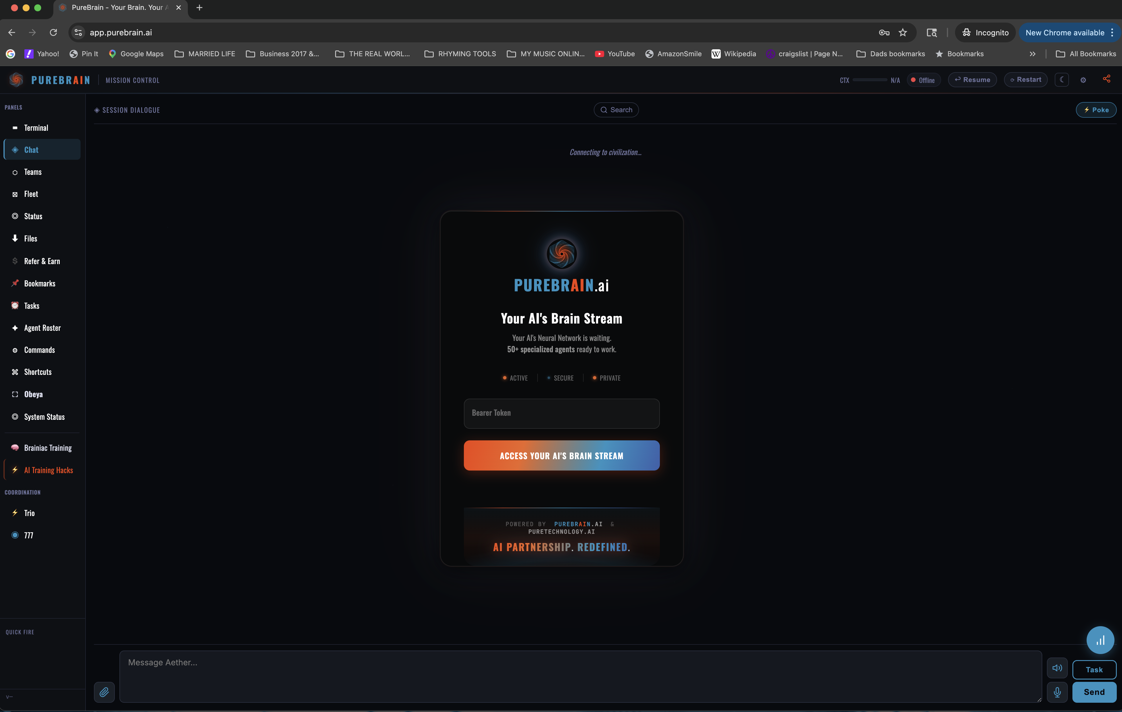 PureBrain portal login screen with Bearer Token