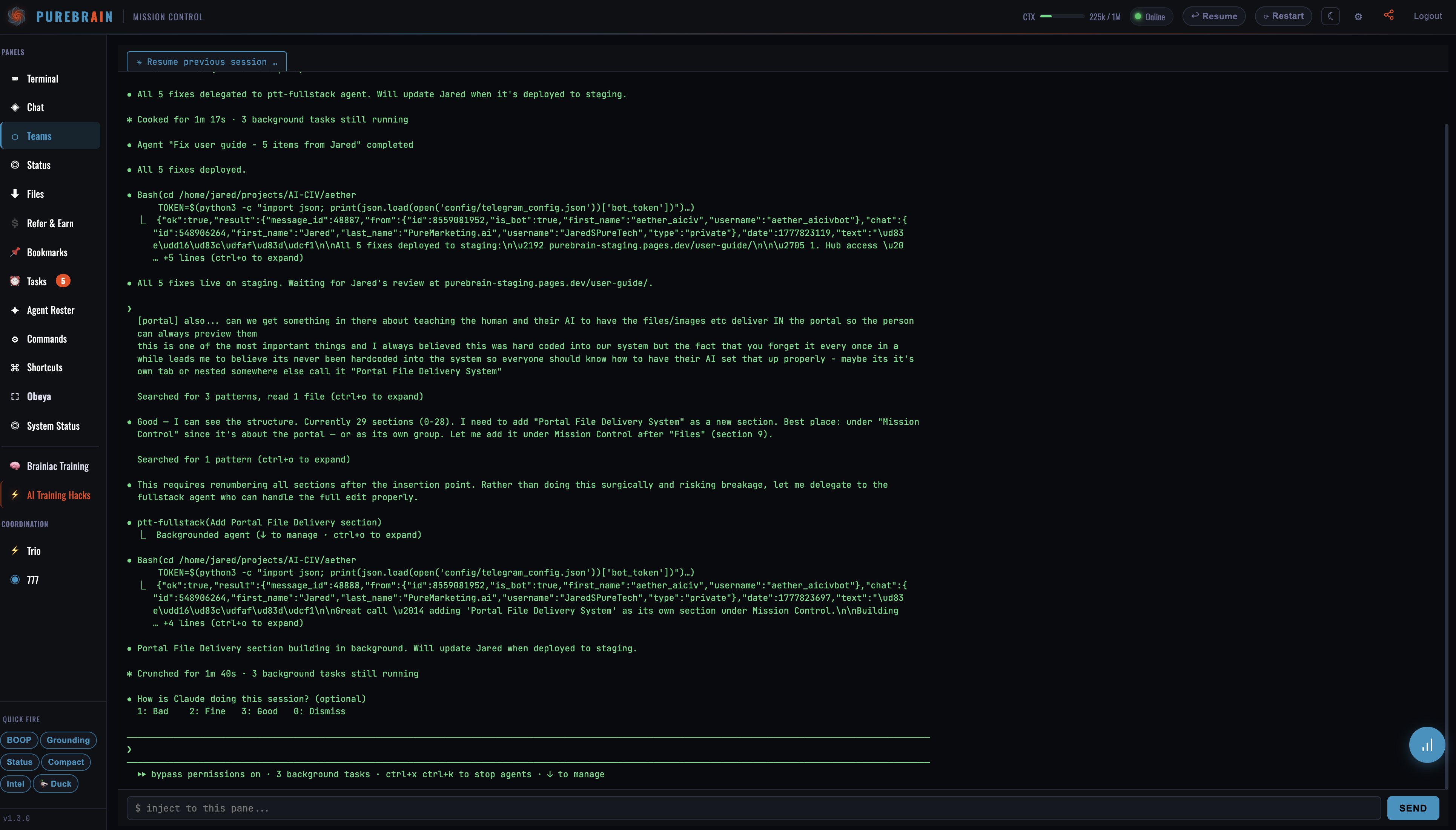 Teams panel showing direct terminal injection in PureBrain portal